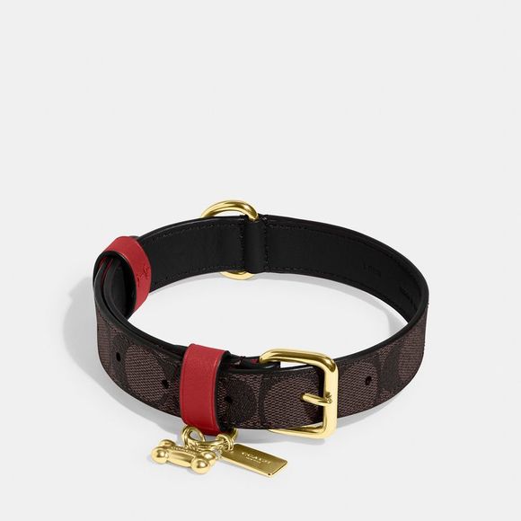NWT Coach Outlet Boxed Large Pet Collar In Signature Canvas - Picture 2 of 4